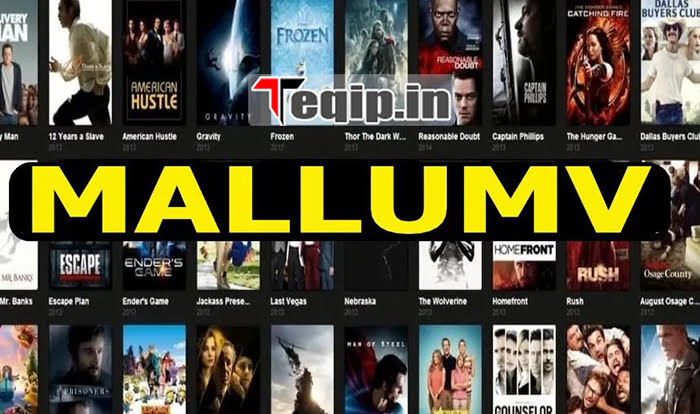 Mallumv: HD Movies Download, Bollywood, Hollywood